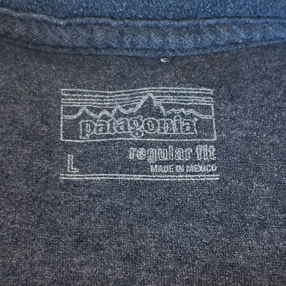 Patagonia Fitz Roy Bison Long Sleeve Shirt Men's L Blue Crew Neck Jackson Hole - Picture 5 of 9